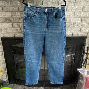 NWOT AE Mom Straight Jean